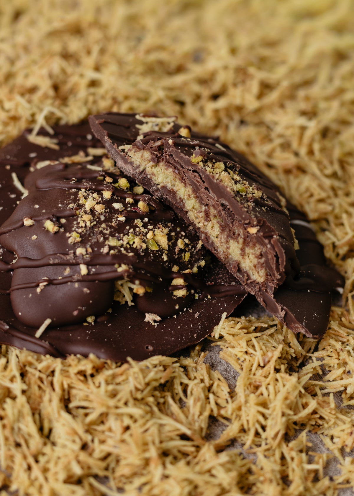 TORTUGAS DUBÁI SIN PRETZEL
